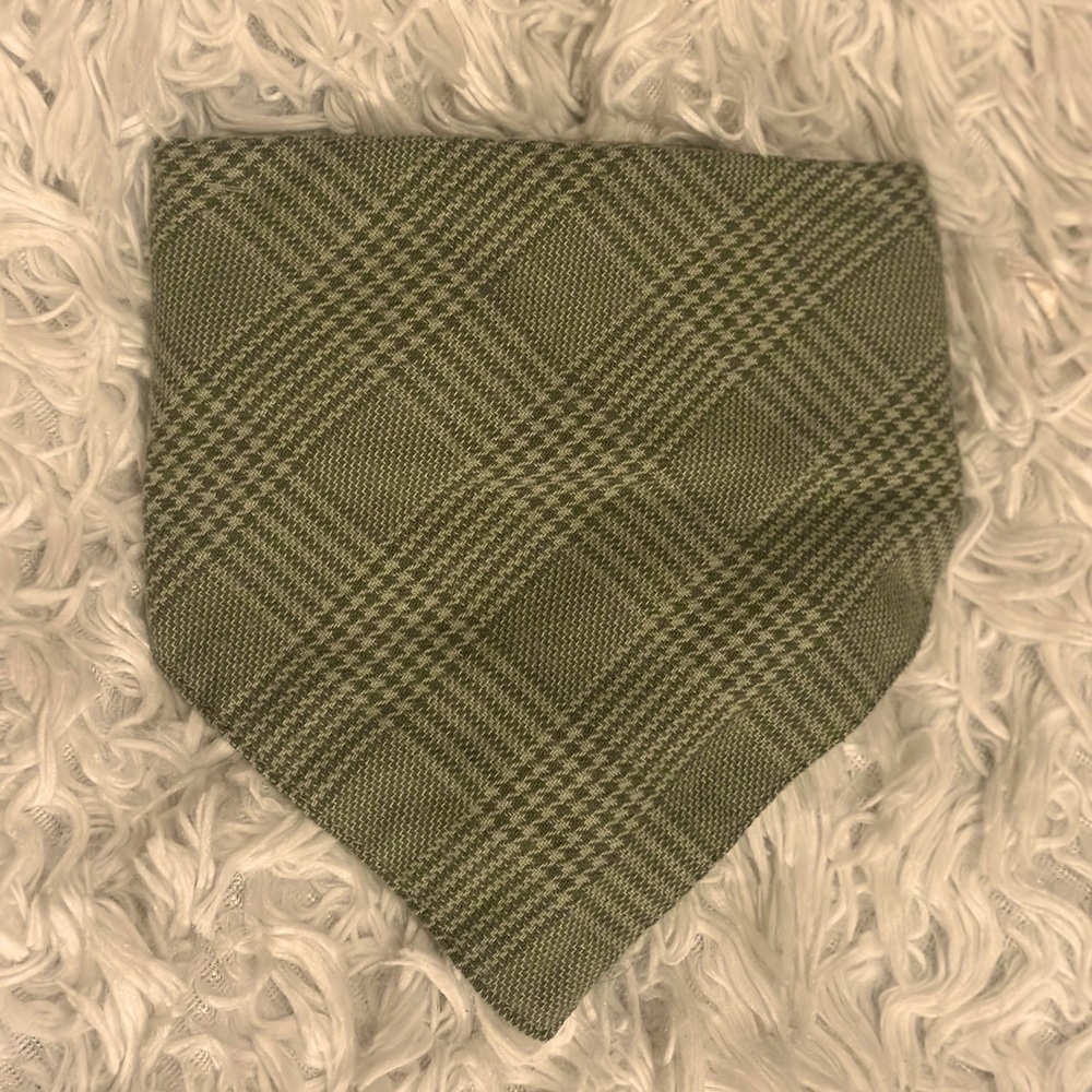 Green Festive Dog Bandanna